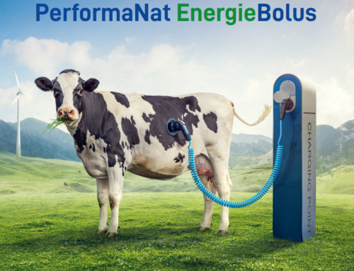 We proudly present…. den PerformaNat EnergieBolus!
